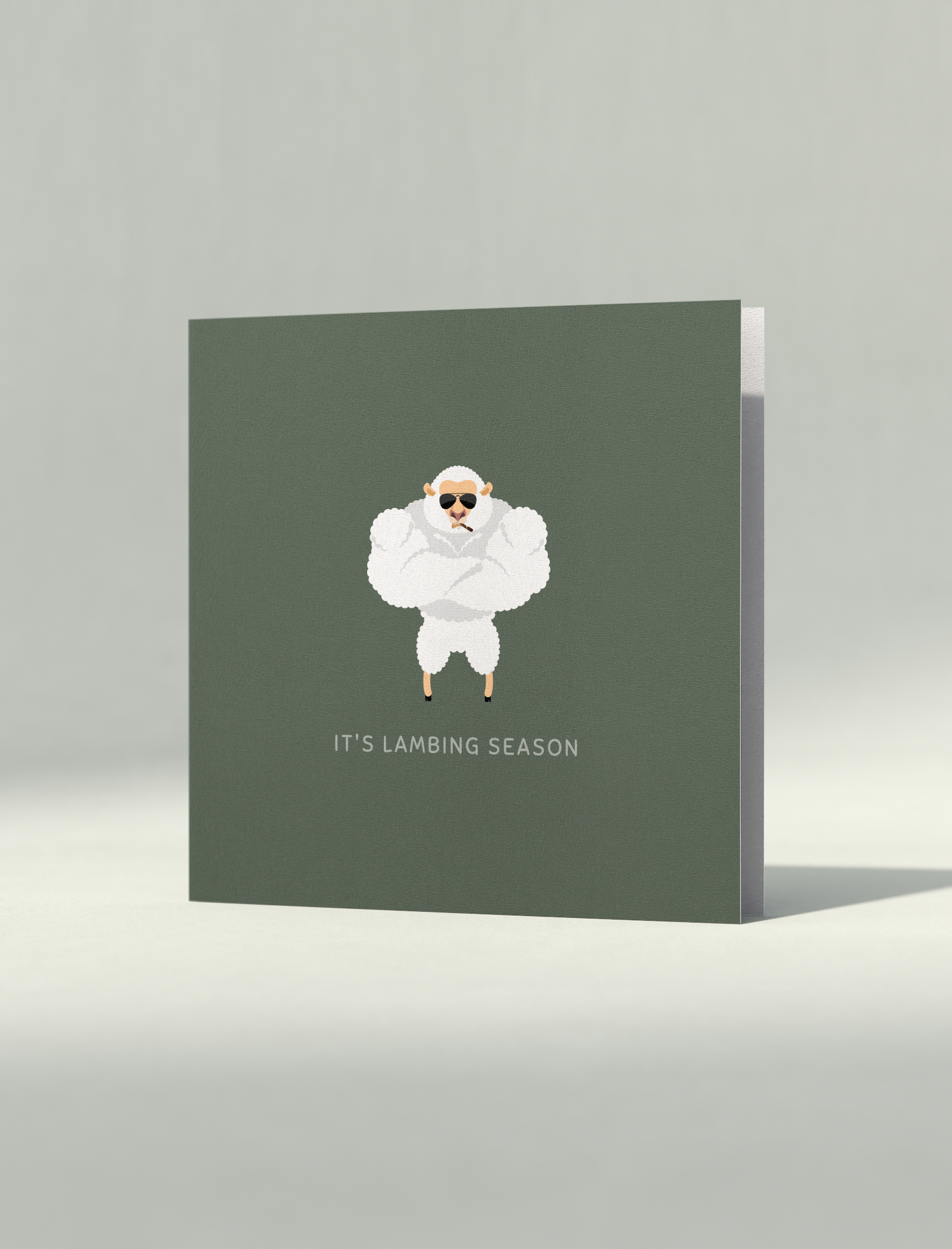 Lambing Season Card